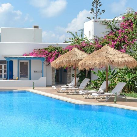 Aggeliki'S Diamond Aparthotel Agia Anna  Room photo
