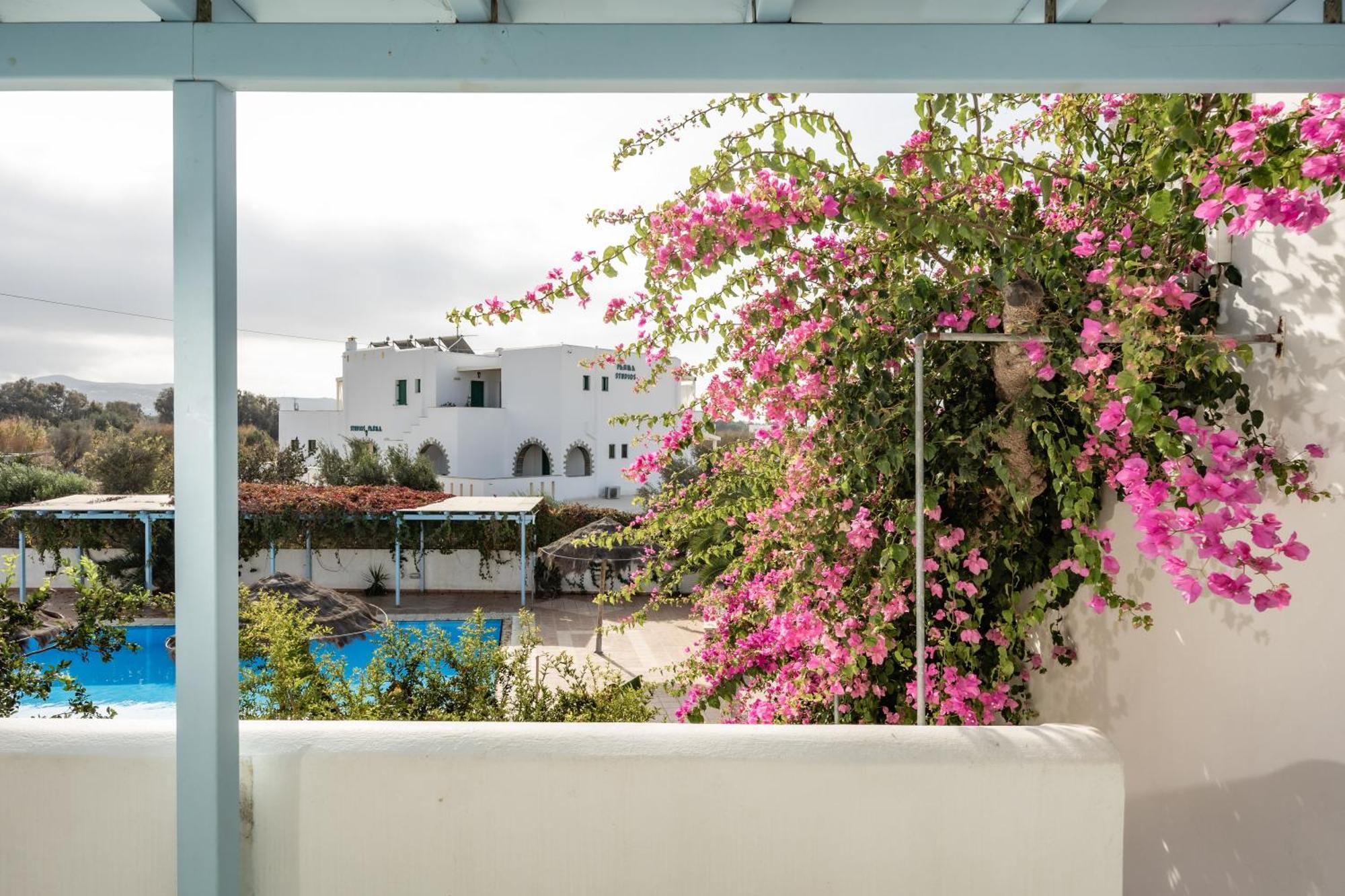 Aggeliki'S Diamond Aparthotel Agia Anna  Exterior photo