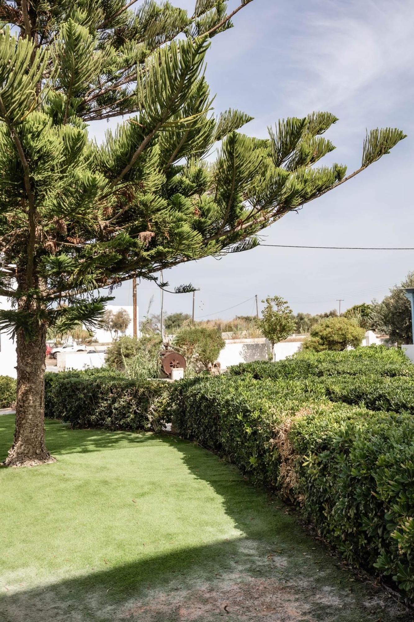Aggeliki'S Diamond Aparthotel Agia Anna  Exterior photo