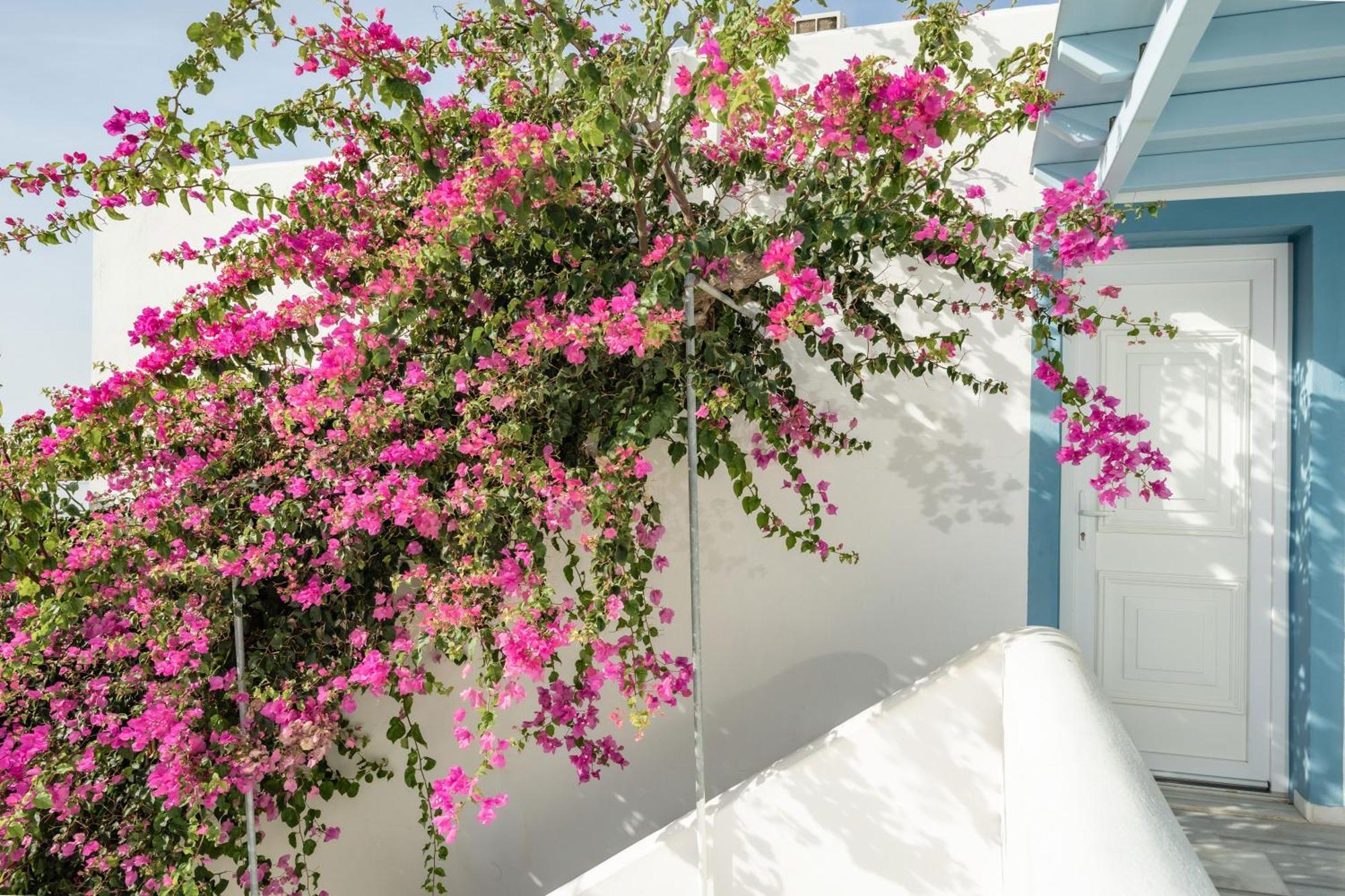 Aggeliki'S Diamond Aparthotel Agia Anna  Exterior photo